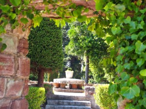 11401163_854766084609487_7385793614402023583_n