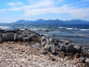 11800496_882336688519093_2249258440121514737_n