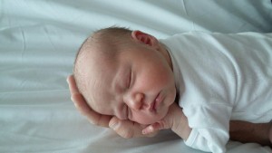 9146_1000133620072732_436114324642934734_n