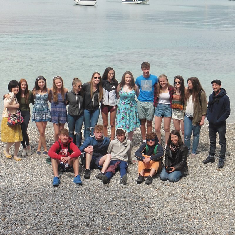 irish leaving certificate